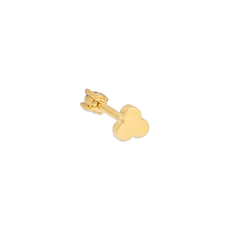 Photo du produit  Piercing Oxford - Acier Doré et Zirconium