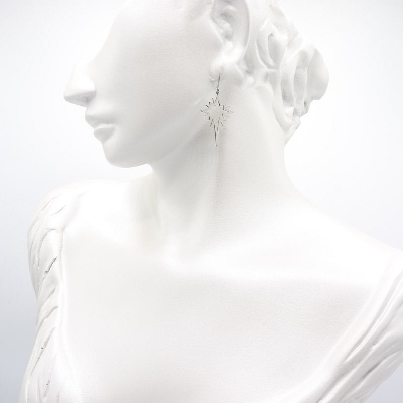 Photo du produit  Boucles d'Oreilles Etoile du Nord Evidée - Acier